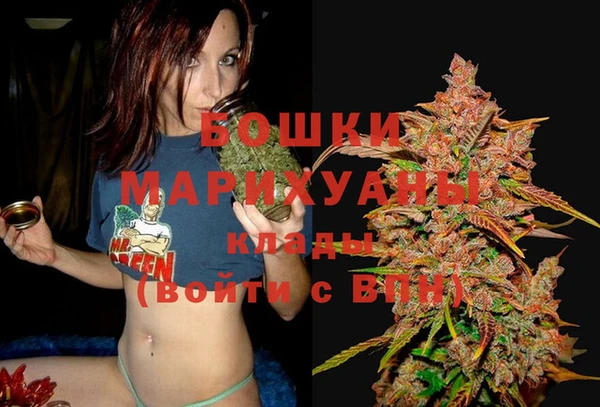ALPHA PVP Горнозаводск
