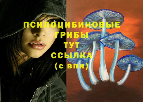 ALPHA PVP Горнозаводск