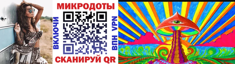 Купить где  Белокуриха  Псилоцибиновые грибы Psilocybe 